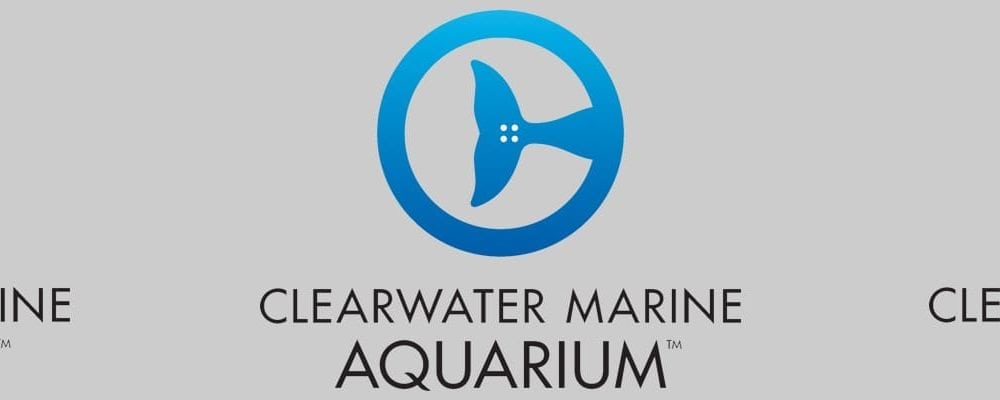 Clearwater-Marine-Aquarium