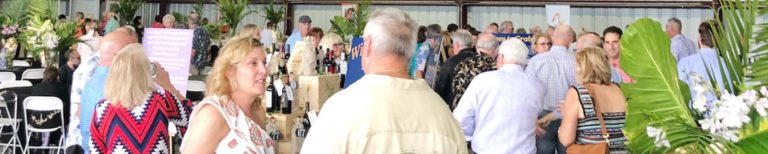 Dimmitt-Cares-Wings-Wheels-Wine-Clearwater