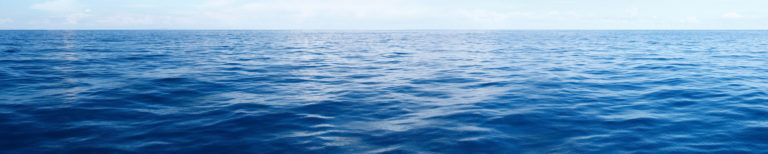 Community Values Day with AMIkids