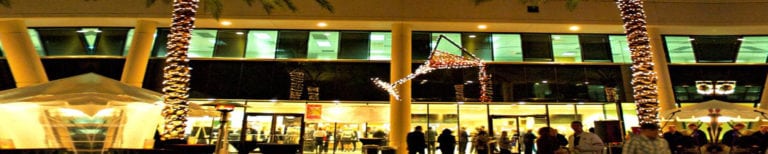 Martinis and Matisse 2016 – Sponsored by Dimmitt Automotive Group