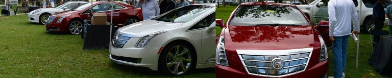 dimmitt-earth-day-st-pete-featured