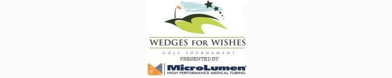Wedges for Wishes 2014